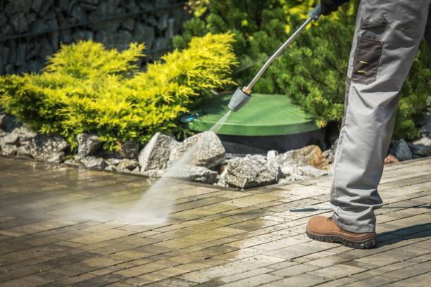 Best Building Exterior Washing  in Palatka, FL