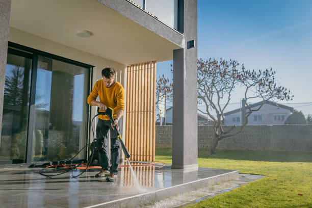 Best Driveway Pressure Washing  in Palatka, FL