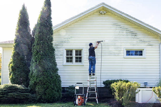 Spring Cleaning in Palatka, FL